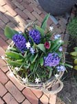 bloemenfonds